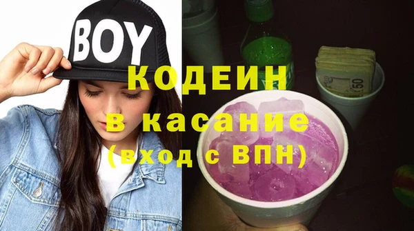 крисы Бородино