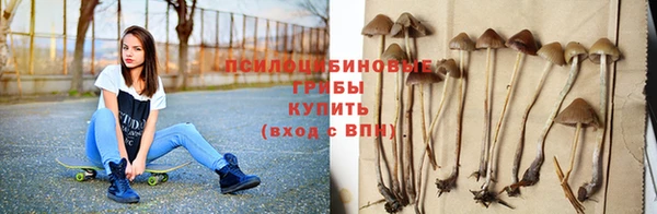 наркотики Богородицк